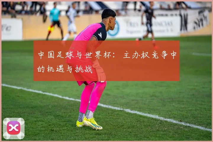 中国足球与世界杯：主办权竞争中的机遇与挑战