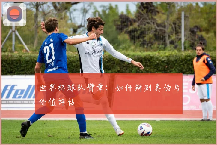 世界杯球队臂章：如何辨别真伪与价值评估