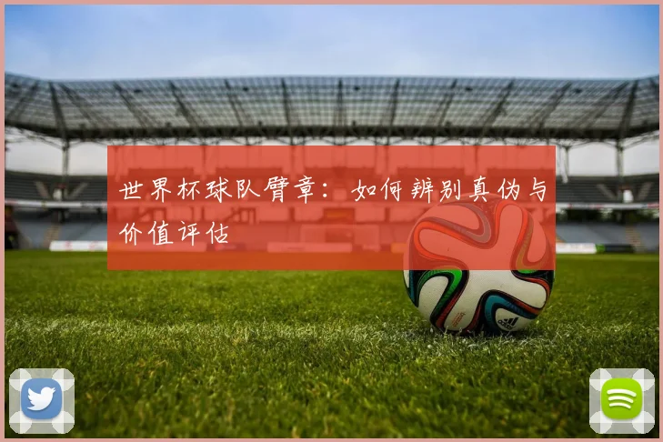 世界杯球队臂章：如何辨别真伪与价值评估